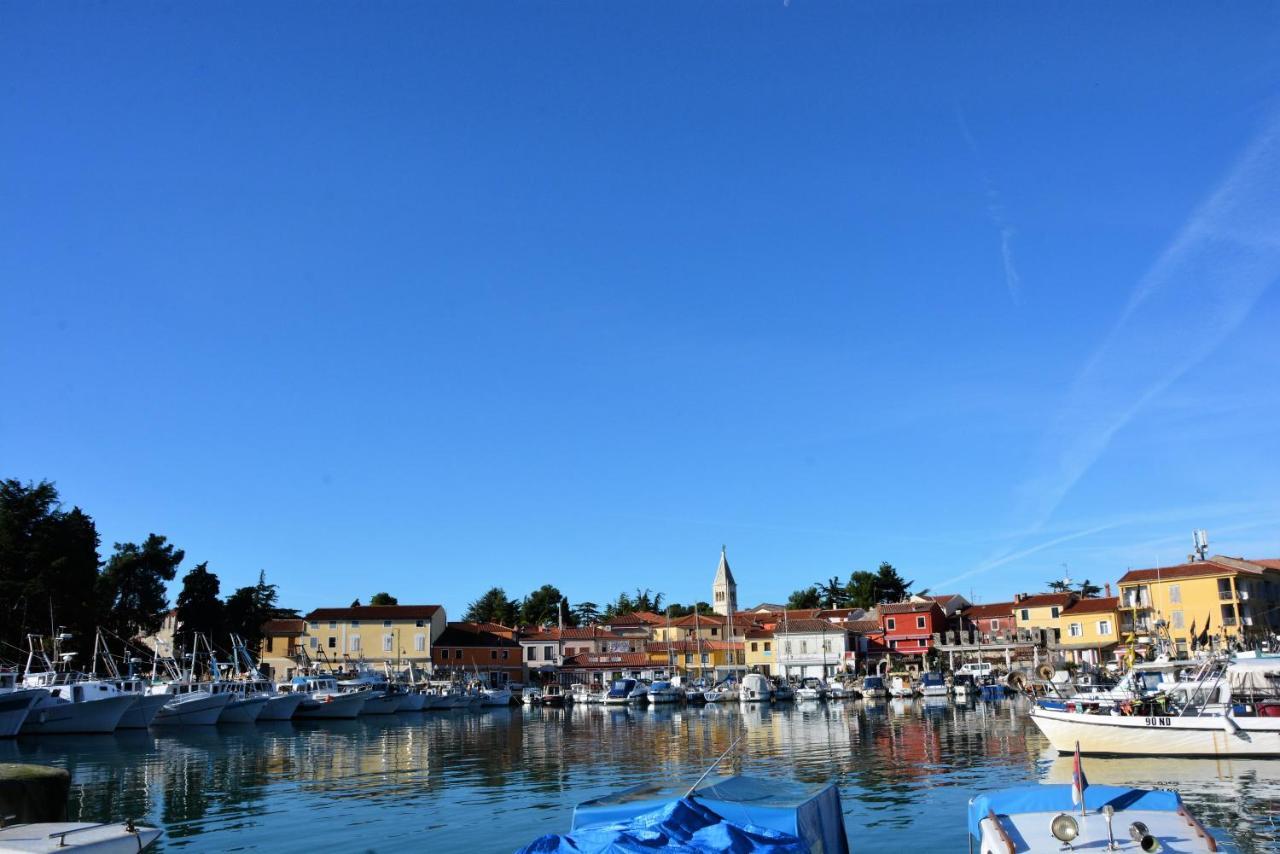 Villa Vienna Novigrad Istria Extérieur photo