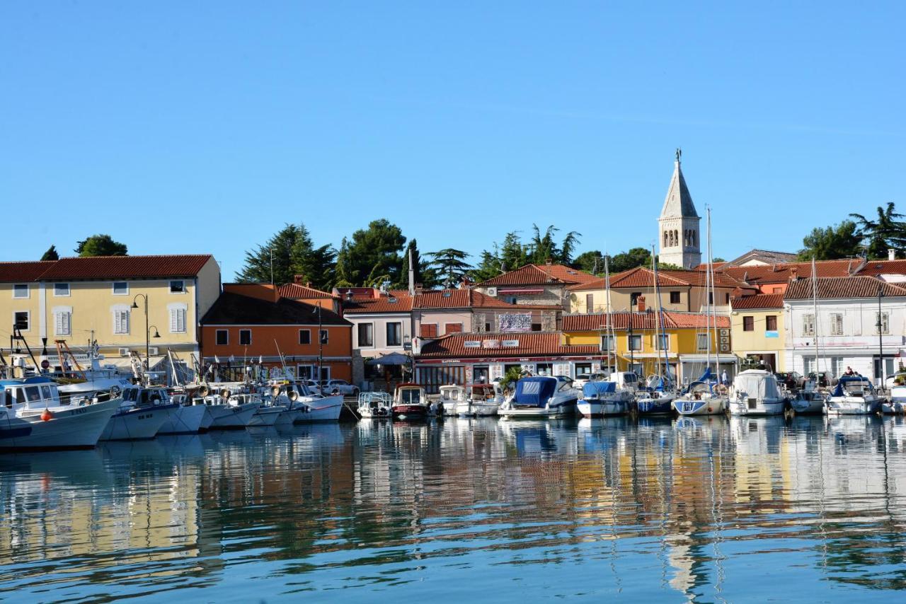 Villa Vienna Novigrad Istria Extérieur photo