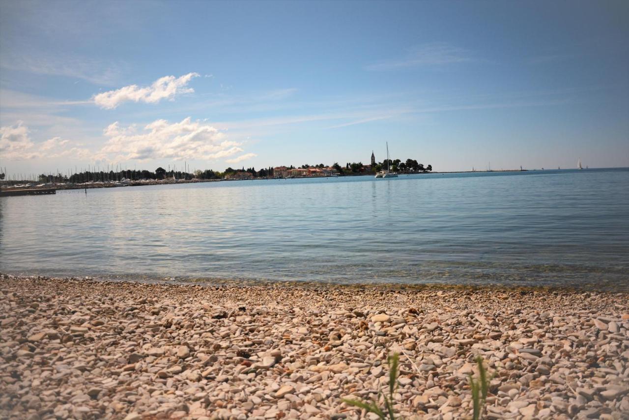 Villa Vienna Novigrad Istria Extérieur photo