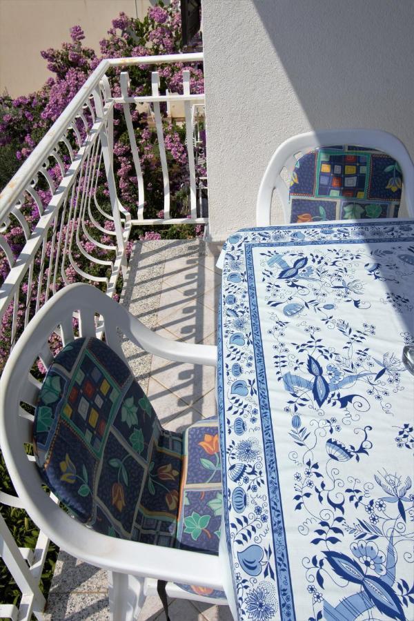Villa Vienna Novigrad Istria Extérieur photo