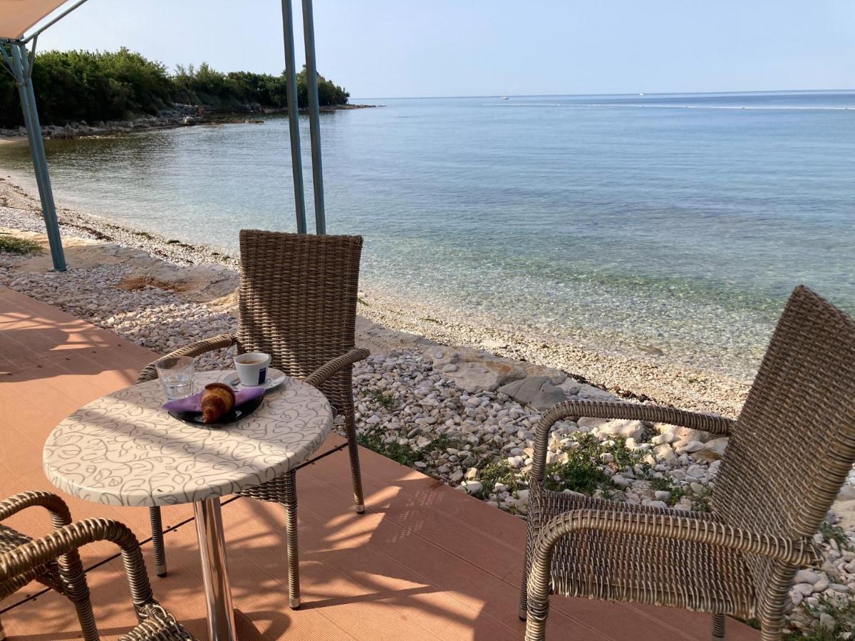 Villa Vienna Novigrad Istria Extérieur photo